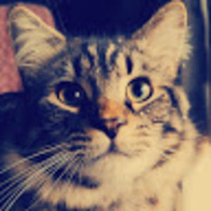 Meet your Posher, Gabriella